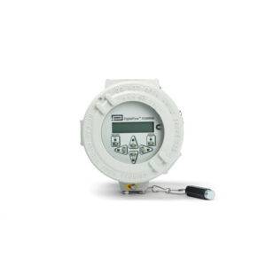 Panametrics DigitalFlow XGM868i